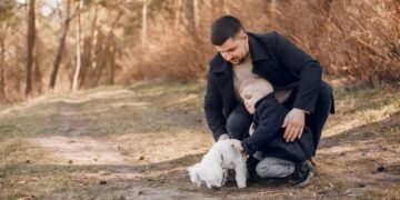 Who Gets the Dog in a Divorce?