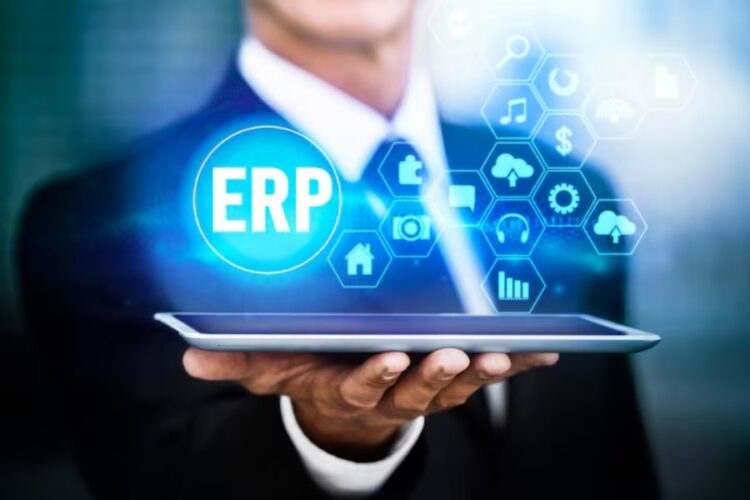 ERP Implementation in Regulated Industries
